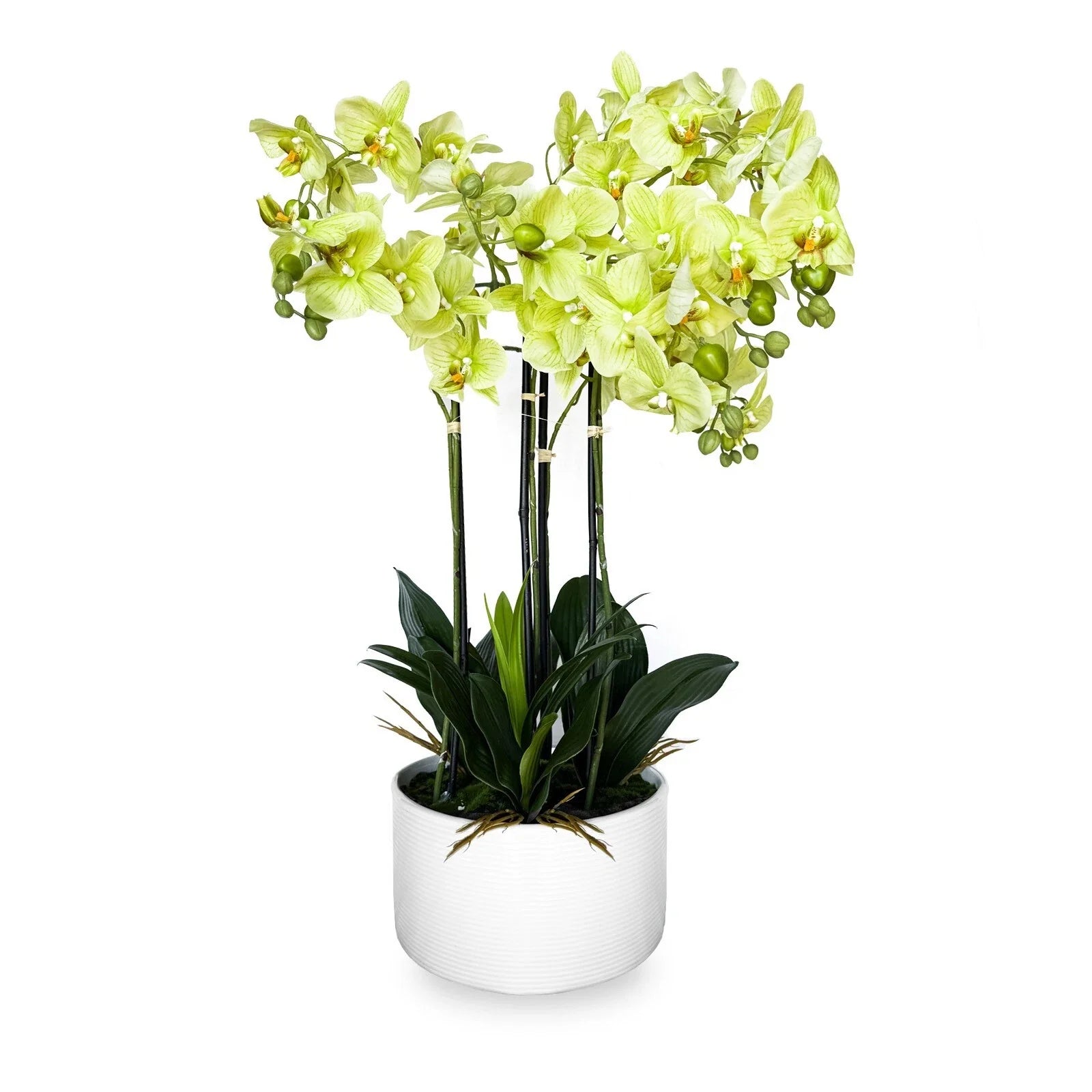 29" Artificial Flowers Potted Faux Realistic Green Orchid in Ceramic Pot Decor