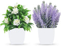 Der Rose 2 Pack Small Fake Plants Faux Plants Indoor with Flowers for Home